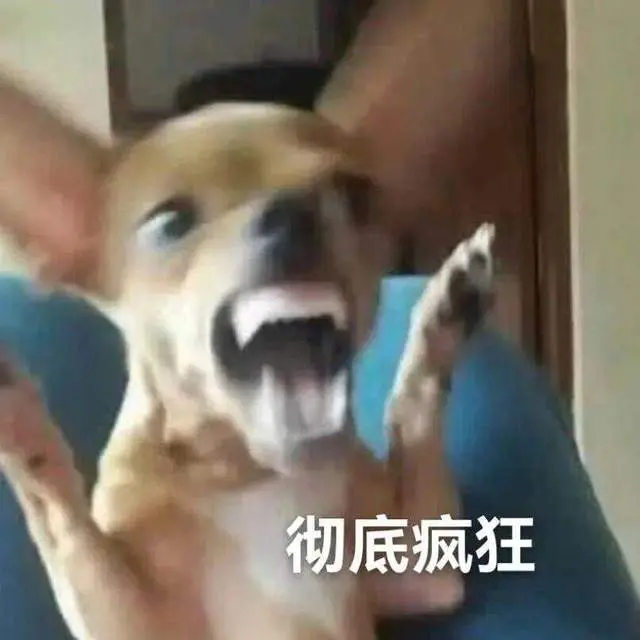 cn, BOSS统