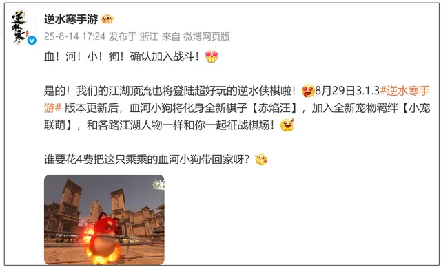 拿到最终奖, amp